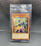 専用