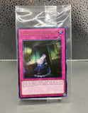 遊戯王 公式 YCS 2026 リビングデッドの呼び声 26YC 未開封