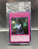 遊戯王 公式 YCS 2026 リビングデッドの呼び声 26YC 未開封