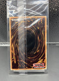 遊戯王 公式 YCS 2026 リビングデッドの呼び声 26YC 未開封