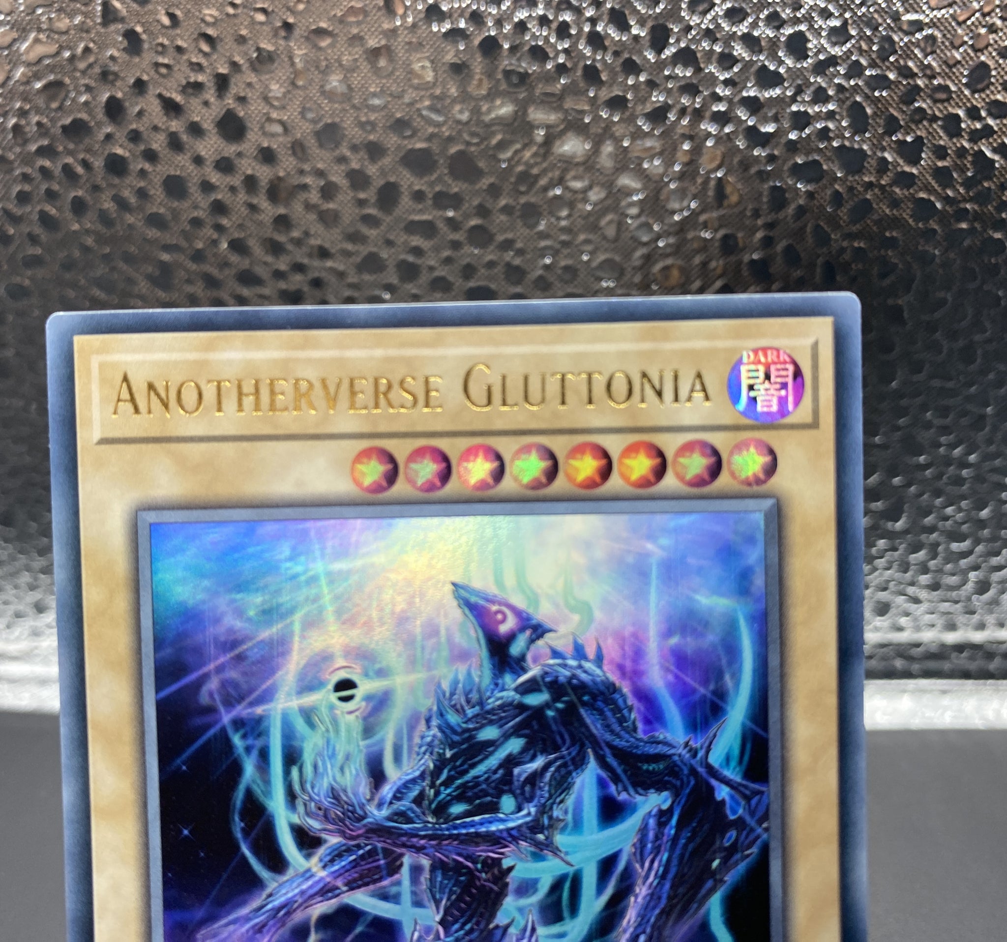 遊戯王 YCSW OCEANIA ANOTHERVERSE GLUTTONIA 優勝 ウルトラ EU