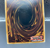 遊戯王 OP28 ブルーアイズ・ホワイト・ドラゴン レリーフ EU英語版