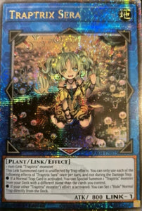 遊戯王 英語版 セラの蟲惑魔 25thレア RA04 北米版 予約