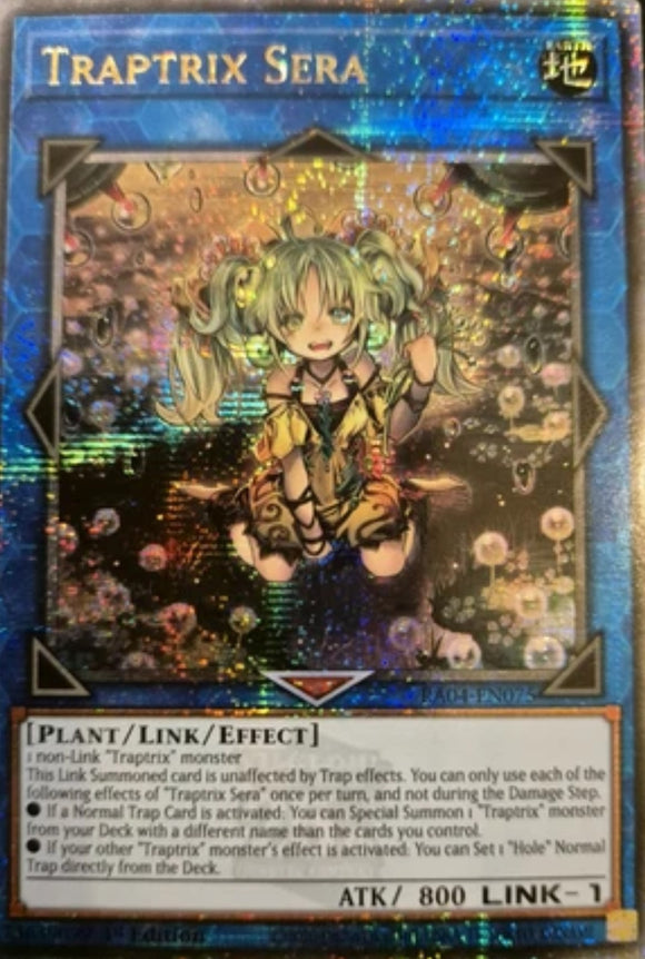 遊戯王 英語版 セラの蟲惑魔 25thレア RA04 北米版 予約