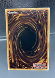 遊戯王 UP01 灰流うらら レリーフ EU英語版