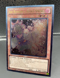 遊戯王 UP01 灰流うらら レリーフ EU英語版