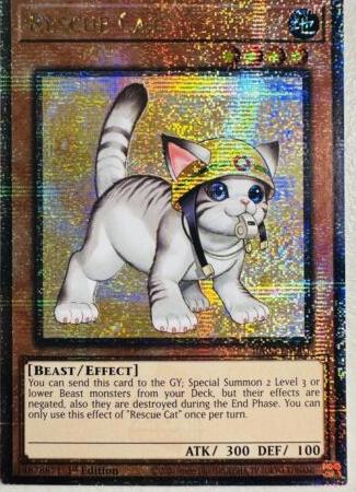 遊戯王 英語版 レスキューキャット 絵違い 25thレア RA02 北米版 予約