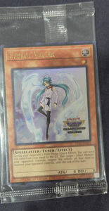 WCQ 上位賞 TOP 8 エフェクト ヴェーラー