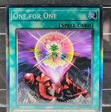 遊戯王 EU版 AMDE ワン・フォー・ワン コレクターズレア 英語版