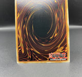 遊戯王 EU版 MAZE 六花聖ティアドロップ コレクターズレア 英語版