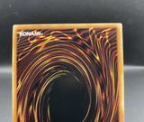 遊戯王 EU版 MAZE 六花聖ティアドロップ コレクターズレア 英語版