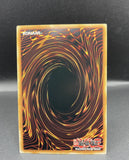 遊戯王 EU版 MAZE 双穹の騎士 アストラム コレクターズレア 英語版