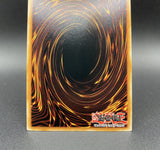 遊戯王 EU版 AMDE 御巫の誘い輪舞 コレクターズレア ポルトガル語版