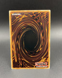 遊戯王 EU版 AMDE 御巫の誘い輪舞 コレクターズレア ポルトガル語版