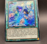 遊戯王 EU版 AMDE 御巫の誘い輪舞 コレクターズレア ポルトガル語版