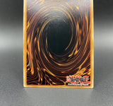 遊戯王 EU版 AMDE 鏡の御巫ニニ コレクターズレア ポルトガル語版