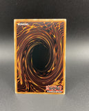 遊戯王 EU版 AMDE 鏡の御巫ニニ コレクターズレア ポルトガル語版