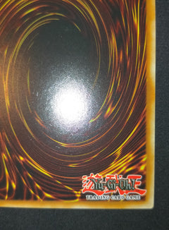 遊戯王 英語版 エクソシスター・マルファ スターライトレア EU版