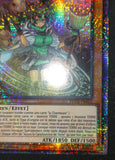 遊戯王 フランス語版 地霊媒師アウス スターライトレア EU版