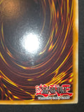 遊戯王 英語版 青眼の白龍 ブルーアイズ・ホワイト・ドラゴン ゴーストレア ホロ 北米版