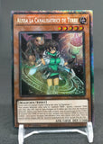 遊戯王 フランス語版 地霊媒師アウス スターライトレア EU版