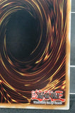遊戯王 英語版 真紅眼の黒竜 ゴーストレア ホロ 北米版