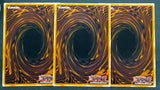 遊戯王 ポルトガル語版 ブラックマジシャンガール・真紅眼の黒竜・青眼の白龍 プリシク MP22 EU版