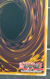 遊戯王 英語版 決闘竜 デュエル・リンク・ドラゴン スーパーレア YCSW
