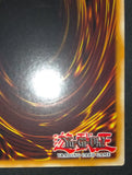 遊戯王 英語版 ブラック・マジシャン・ガール ゴーストレア ホロ 北米版