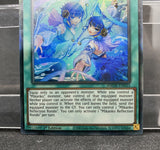 遊戯王 EU版 AMDE 御巫の誘い輪舞 コレクターズレア 英語版